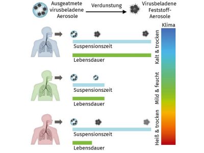 Metastudie: Vorteile für den Menschen bei mittlerer relativer Luftfeuchte