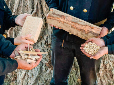 Händelbare Verschärfungen