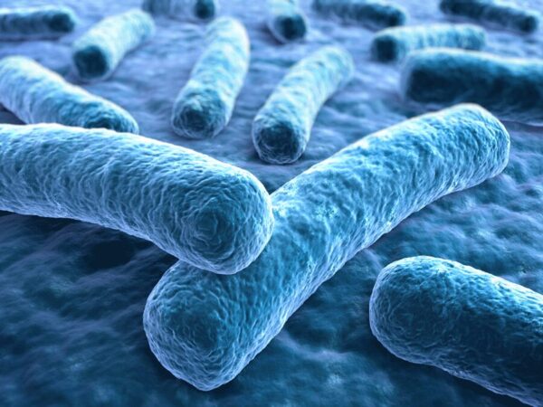 #101 Legionellenuntersuchung nach Trinkwasserverordnung – was sich jetzt ändert