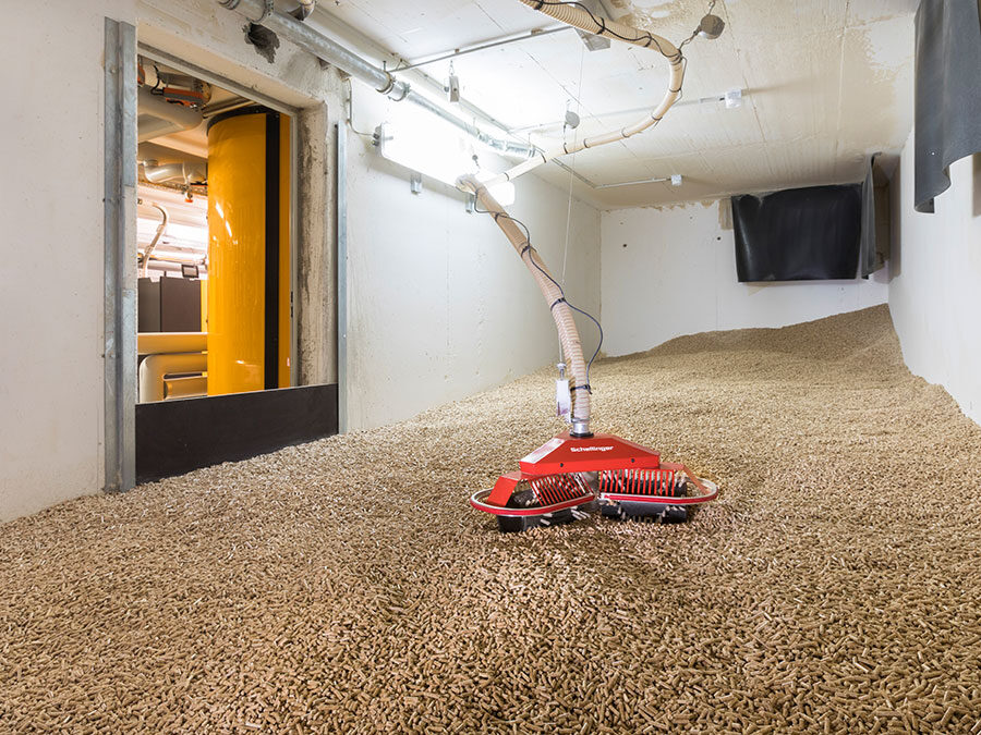 Von Schnecken und Maulwürfen