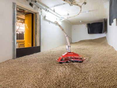 Von Schnecken und Maulwürfen